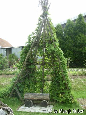 Kreativgarten1