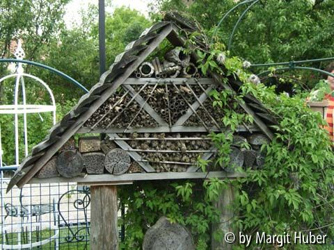 Kreativgarten3