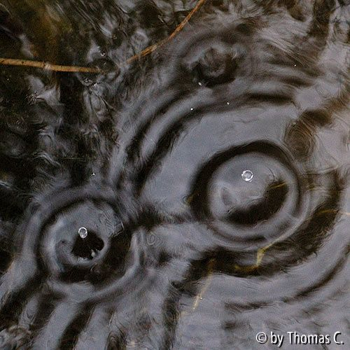 Regentropfen im Teich 2