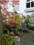 Terrasse Anfang Oktober 2008