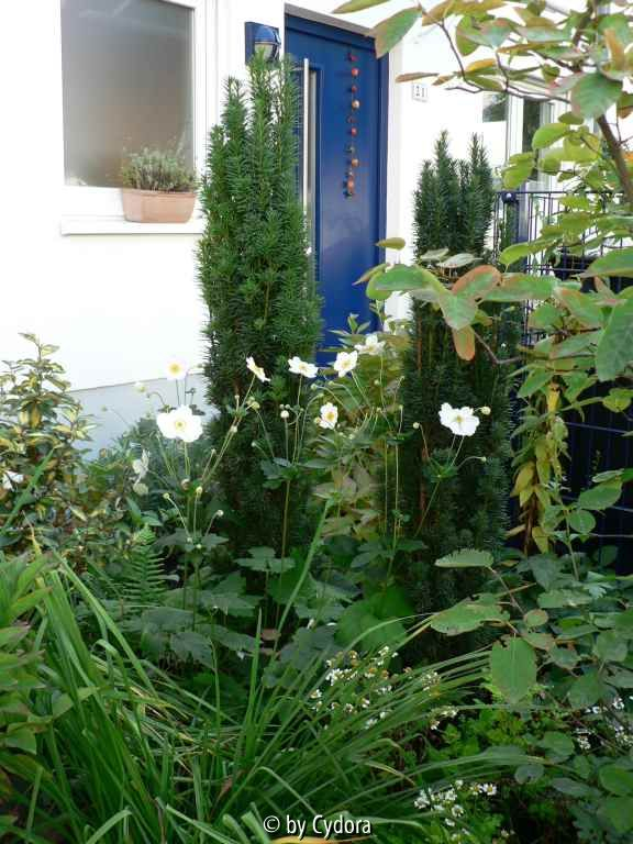 neues Vorgartenbeet 1