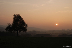 Ausblick