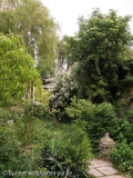 deutzia sorte unsicher