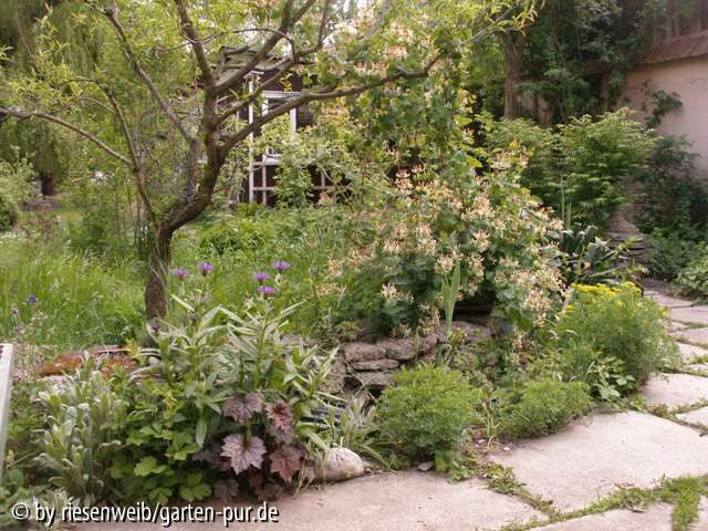 trockenmauer und terrasse 2005-05