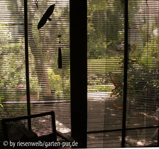 diverse: junimittag heiss