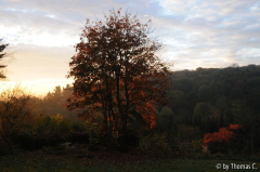 Oktobermorgen 2