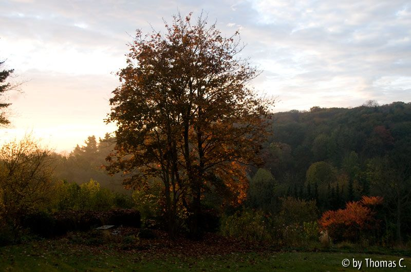 Oktobermorgen 1
