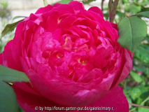 Benjamin Britten