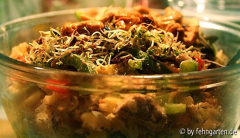 rindfleischsalat mit sprossen