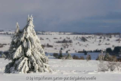 Winterlandschaft
