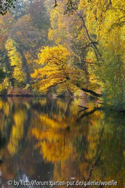 Herbstfarben