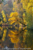 Herbstfarben