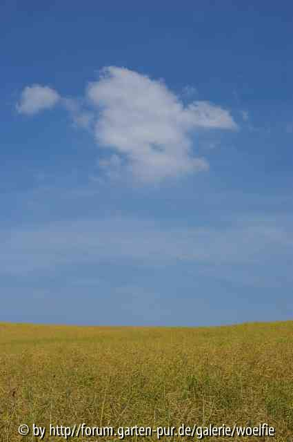 Wolke 7