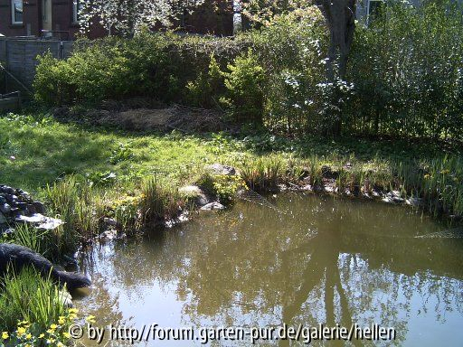 Teich im Frühling 2005 linke Seite