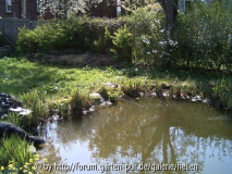 Teich im Frühling 2005 linke Seite
