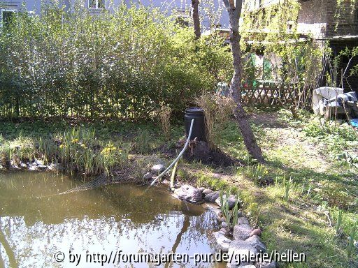 Teich im Frühling 2005 rechte Seite