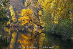 Herbstlaub