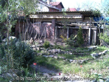 Steingarten im Frühling 2004