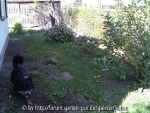 Vorgarten im Frühling 2004
