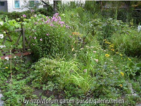Garten im Sommer 2004