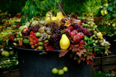 Oktober 2009