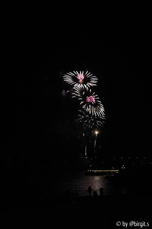 Jan Wellem Fest VI