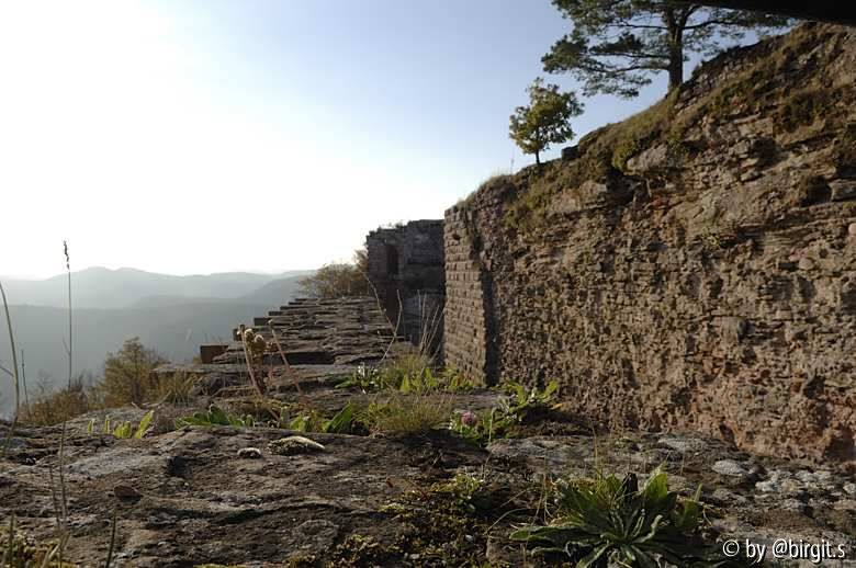 Neuscharfeneck II