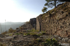 Neuscharfeneck II