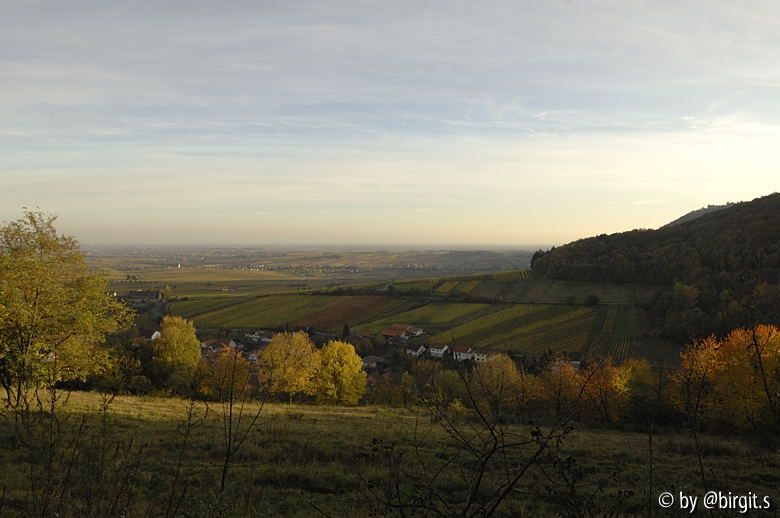 Neukastel I