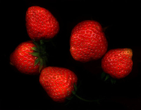 06erdbeeren