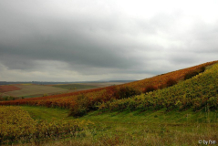 Pfalz 9 28-10-2008