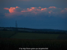 IMG_3336.jpg