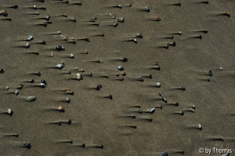 Belgische Küste - De Haan