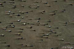 Belgische Küste - De Haan