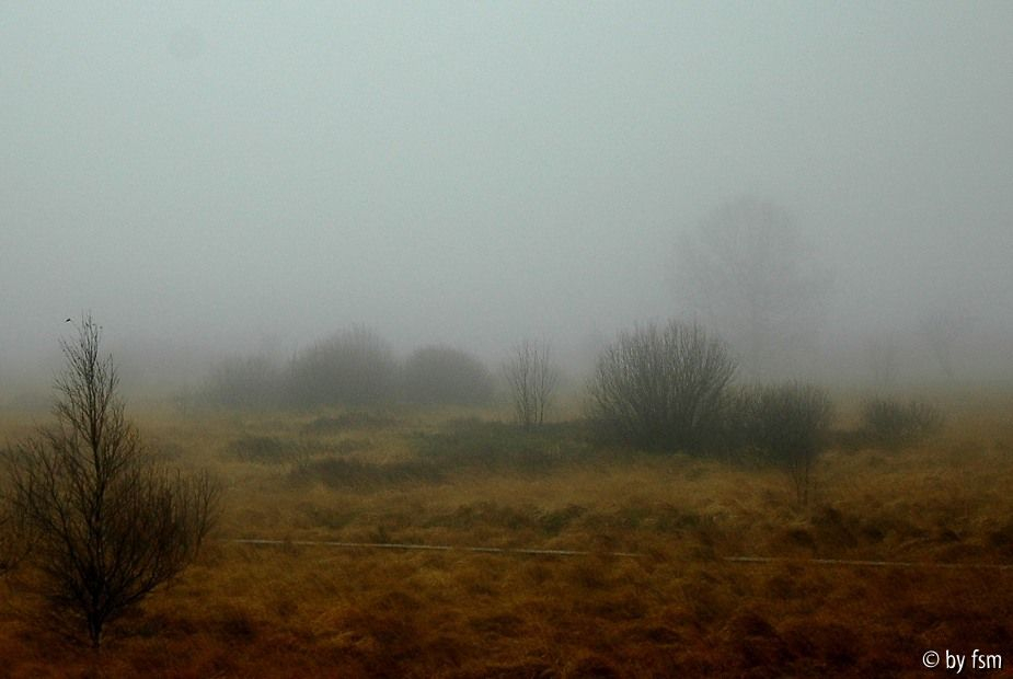 Hohes Venn 3 15-11-2008