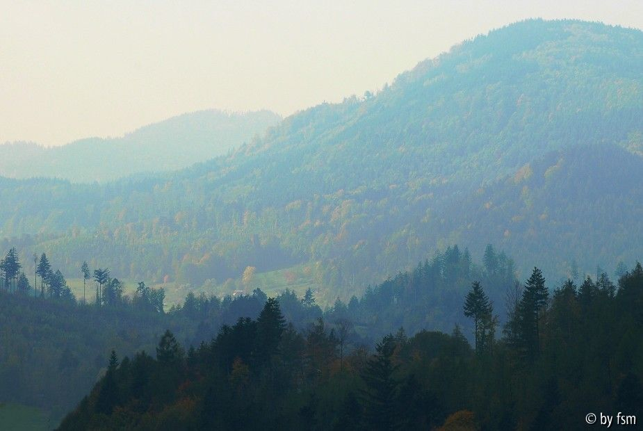 Schwarzwald 2 23-10-2007
