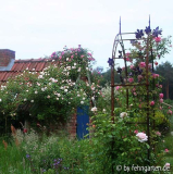 backhaus 2007