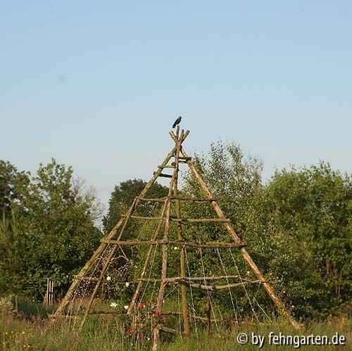 rosenpyramide mit besuch