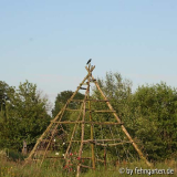 rosenpyramide mit besuch
