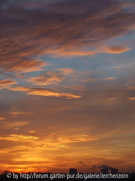 Januarhimmel 3