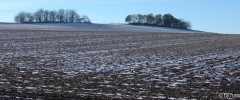 Feldansichten 1 21-11-2004