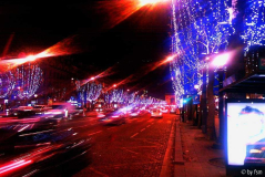 Paris 1 20-11-2008