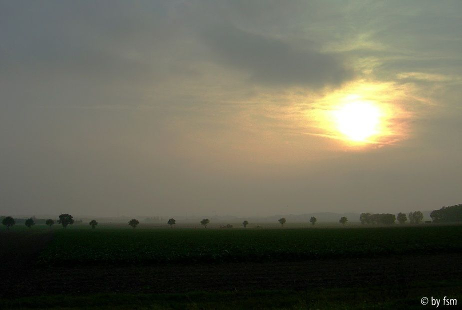 Feldansichten 1 04-10-2007