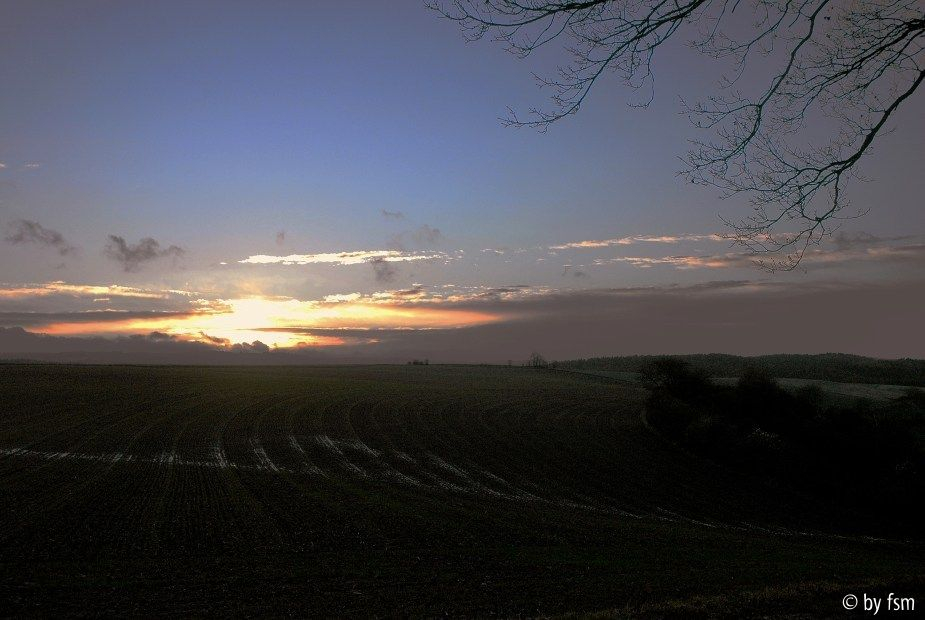 Feldansichten 1 09-12-2007