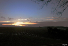 Feldansichten 1 09-12-2007