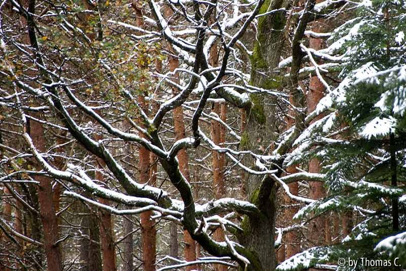 Schneekonturen 2