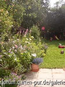 Garten_Juni_2005