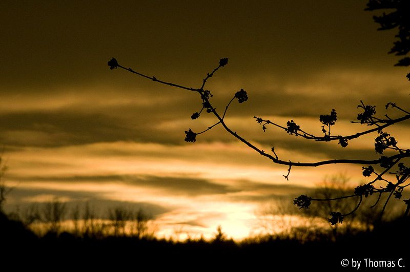 Spätherbst-Abendhimmel 3