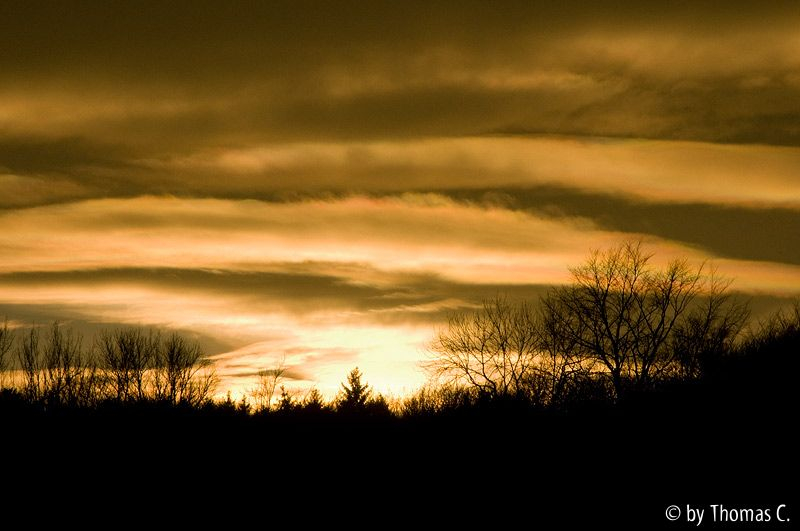 Spätherbst-Abendhimmel 2
