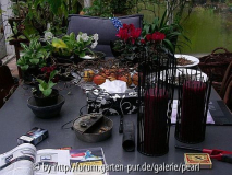Advent im Wintergarten